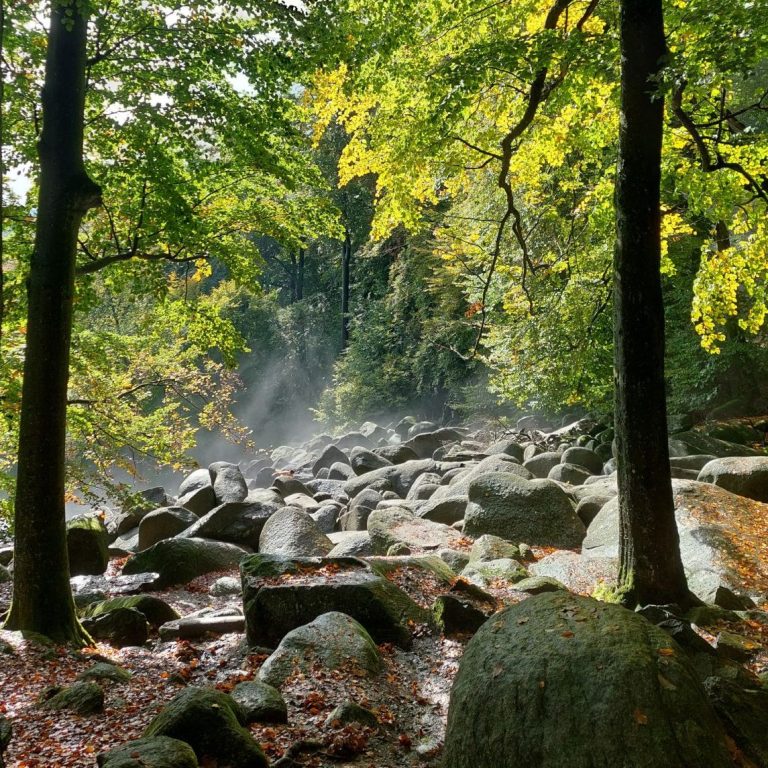 Bild mit nassen Felsen des Felsenmeer im Odenwald