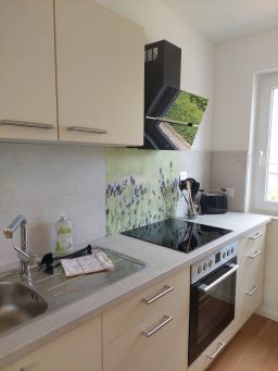 Modern Küche mit weißem Möbel, Kochfeld, Spüle und grüner Fliesenwand.