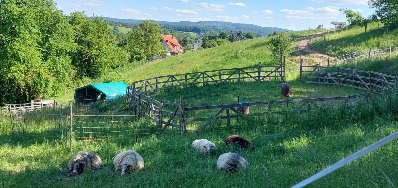 Ferienwohnung Senfnest in Ober-Ramstadt, Ortsteil Modau Ober-Ramstadt Odenwald Ortsteil Modau